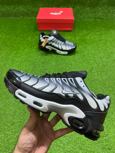 Airmax Plus TN (Ray Runner)
