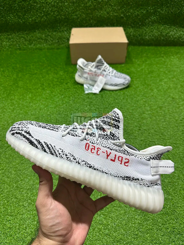 BST Extra Comfy Kicks (Zebra) (Original Quality 1:1)