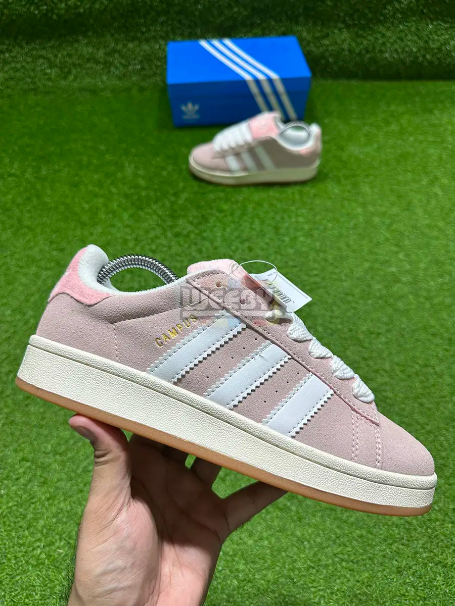 Buy Campus (Baby Pink) (Male) (Suede) (Original Quality 1:1) Online in  Pakistan