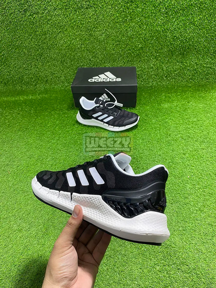 Climacool (Blk/W) (Original Quality 1:1) buy online Pakistan - Weeby Shoes