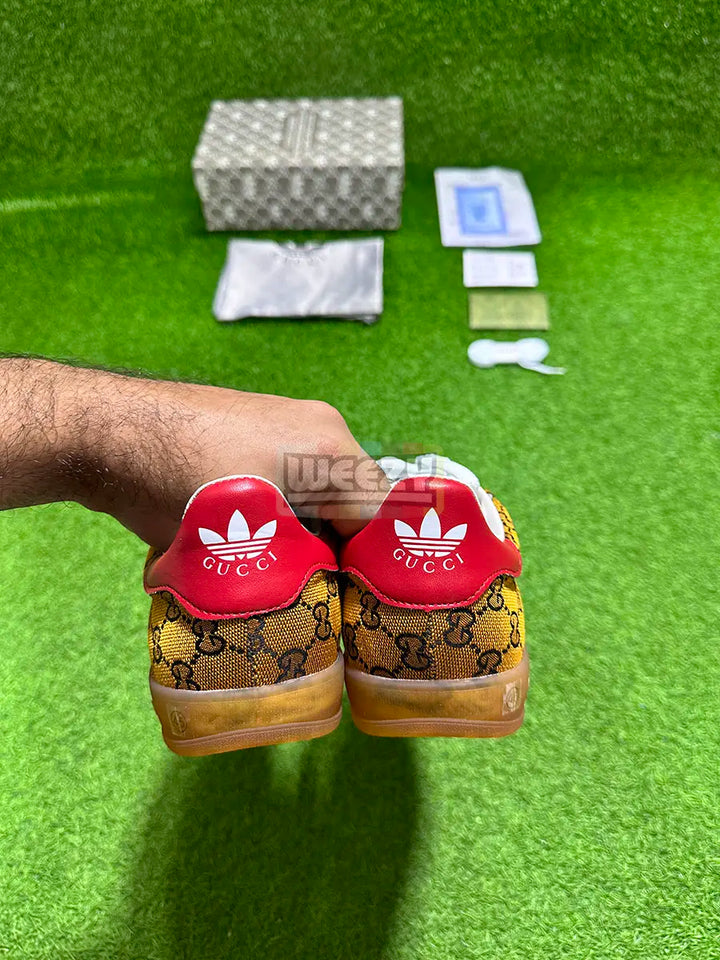 Gazelle x Gucci (Special Box) (Premium Quality) buy online Pakistan - Weeby Shoes