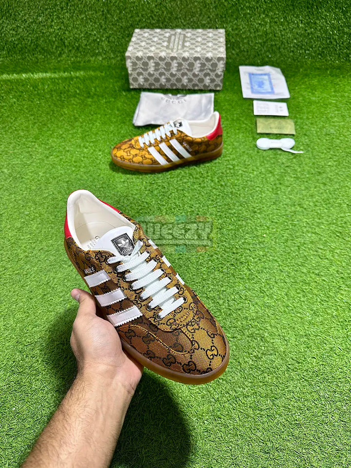 Gazelle x Gucci (Special Box) (Premium Quality) buy online Pakistan - Weeby Shoes