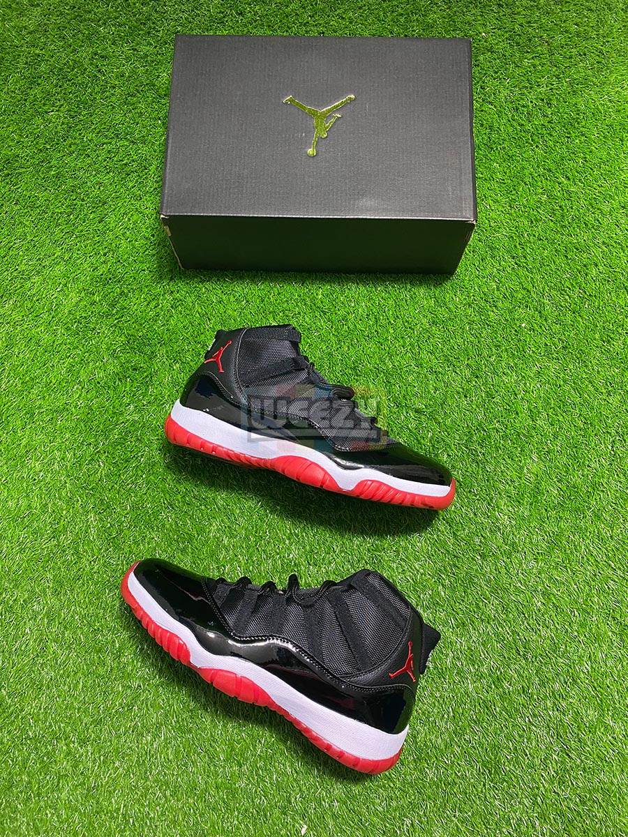 bred 11 for sale
