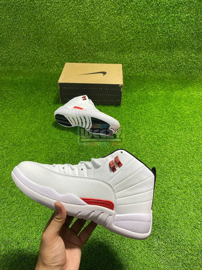 Jordan 12 (Twist)