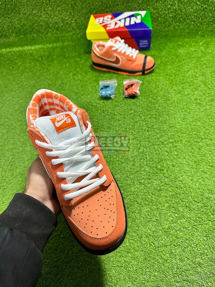 Lobster (Orange)(Special Packaging) (Original Quality 1:1) buy online Pakistan - Weeby Shoes