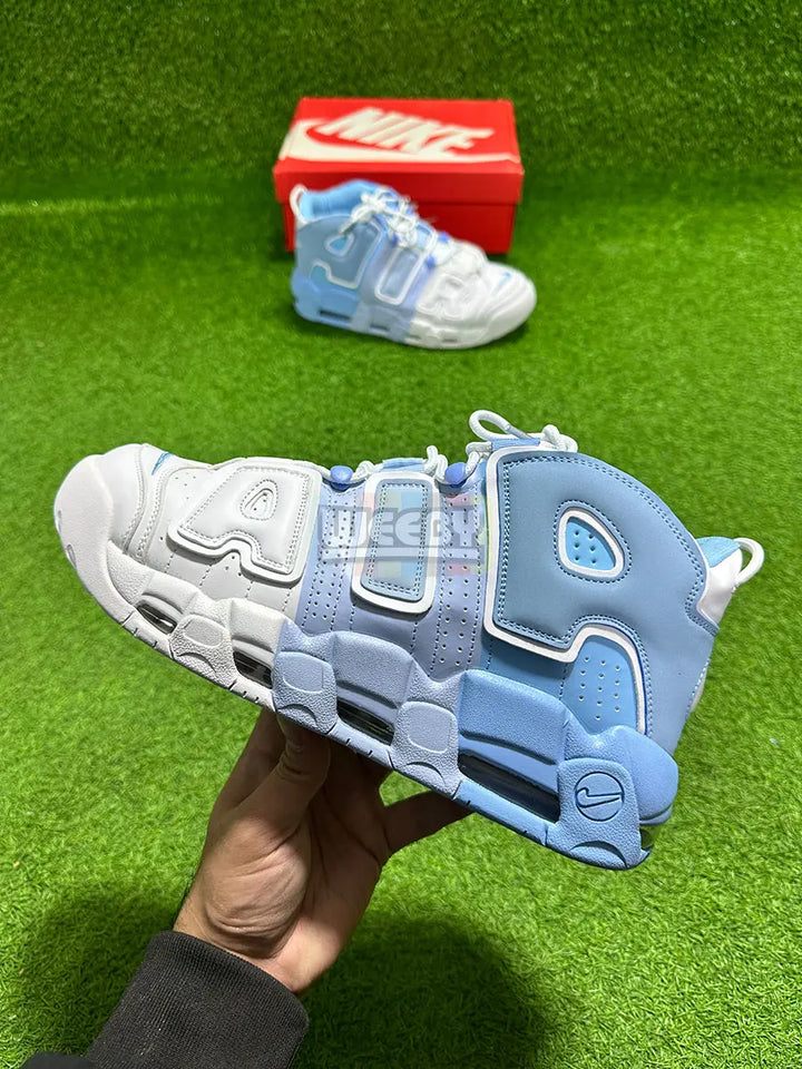 Uptempo (Tri color)(W/Blue)(Premium Quality) buy online Pakistan - Weeby Shoes