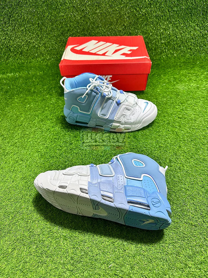 Uptempo (Tri color)(W/Blue)(Premium Quality) buy online Pakistan - Weeby Shoes